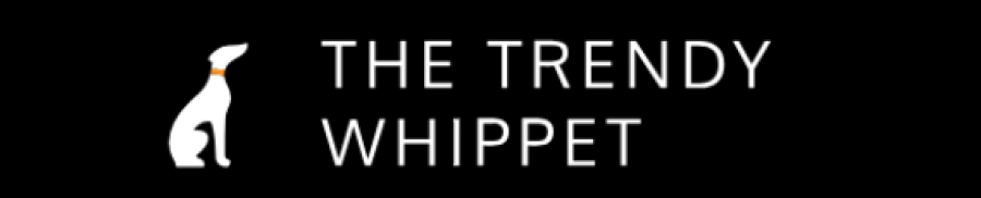 Chloe Vale at The Trendy Whippet